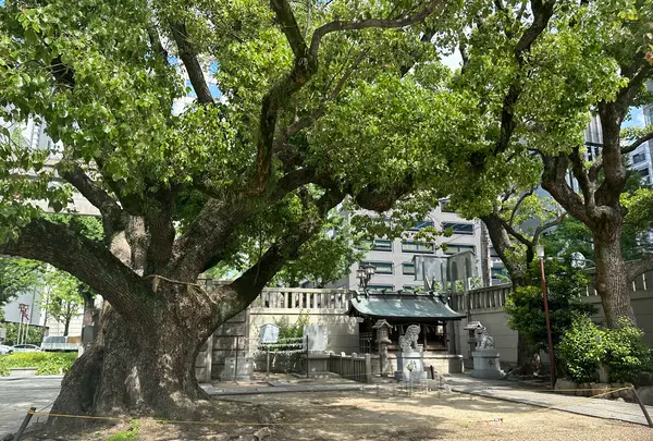 難波神社の写真・動画_image_1364445