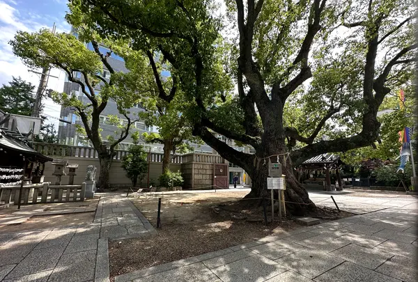 難波神社の写真・動画_image_1364454