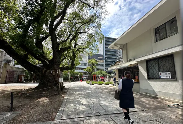 難波神社の写真・動画_image_1364456