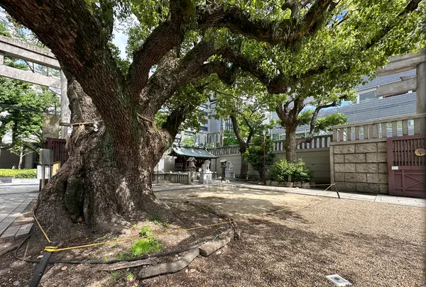難波神社の写真・動画_image_1364457