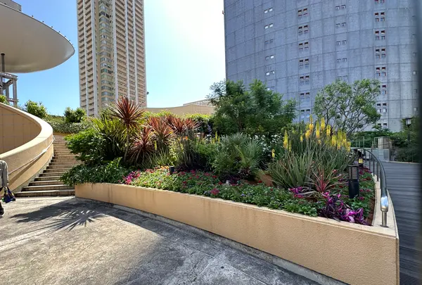 なんばパークス（なんばPARKS）の写真・動画_image_1364568