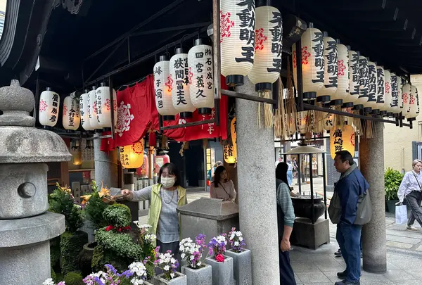 浄土宗 天龍山 法善寺の写真・動画_image_1364697