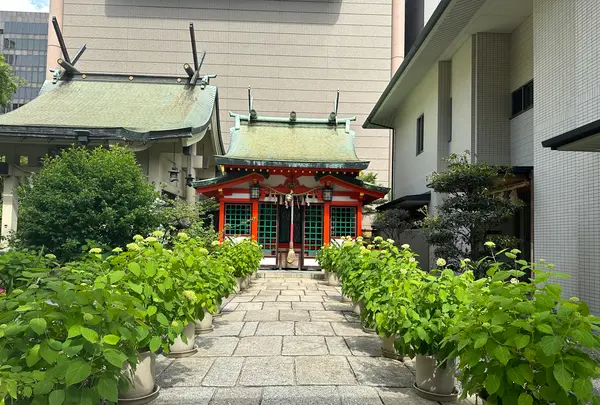 坐摩神社の写真・動画_image_1364866
