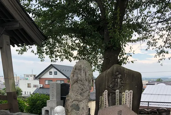 海向寺の写真・動画_image_1365799