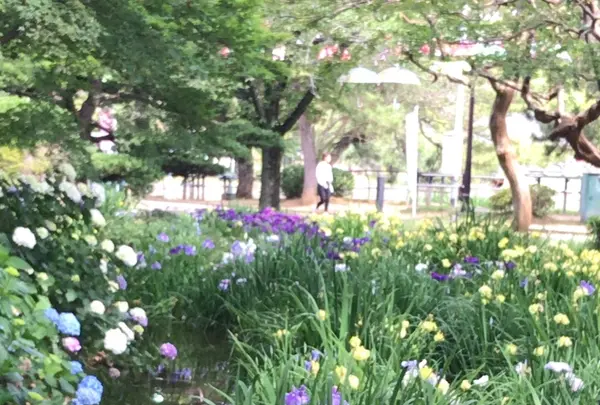 千葉公園の写真・動画_image_1366086