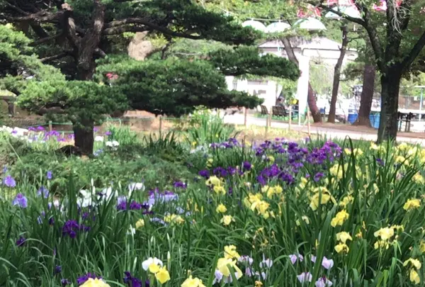 千葉公園の写真・動画_image_1366087