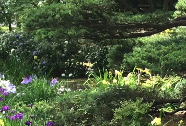 千葉公園の写真・動画_image_1366088