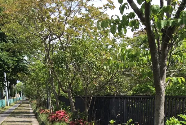 ろっぽう水のみちの写真・動画_image_1366113