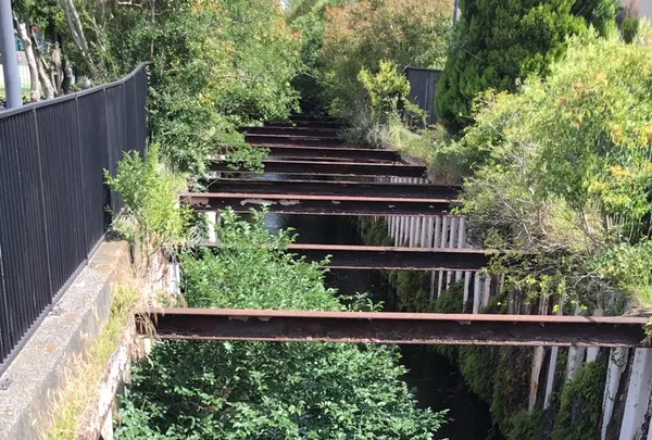 ろっぽう水のみちの写真・動画_image_1366114