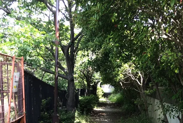 ろっぽう水のみちの写真・動画_image_1366115