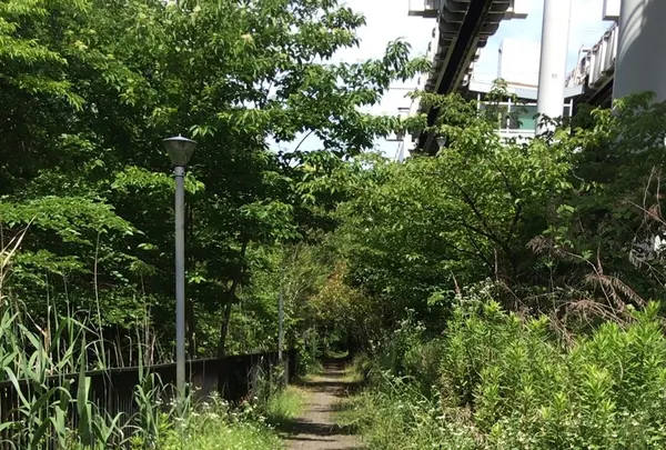 ろっぽう水のみちの写真・動画_image_1366117