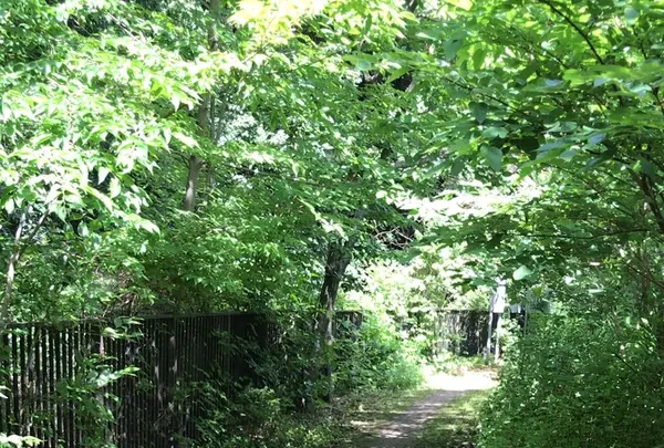 ろっぽう水のみちの写真・動画_image_1366118