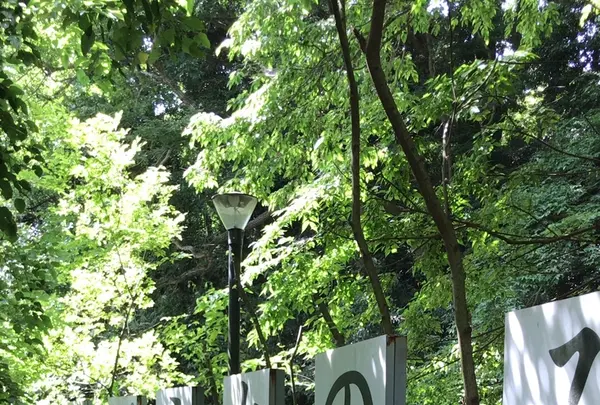 ろっぽう水のみちの写真・動画_image_1366119