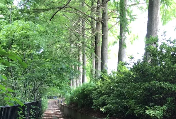ろっぽう水のみちの写真・動画_image_1366123