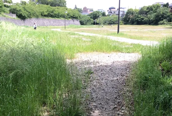 ろっぽう水のみちの写真・動画_image_1366124