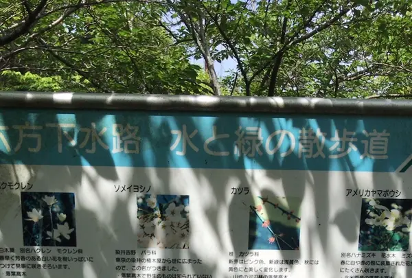 ろっぽう水のみちの写真・動画_image_1366126