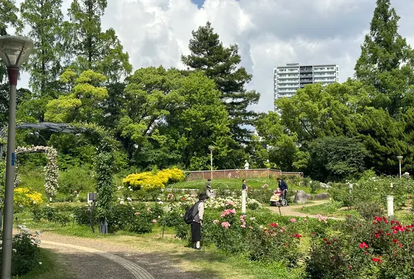 靱公園の写真・動画_image_1367067