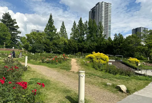 靱公園の写真・動画_image_1367068