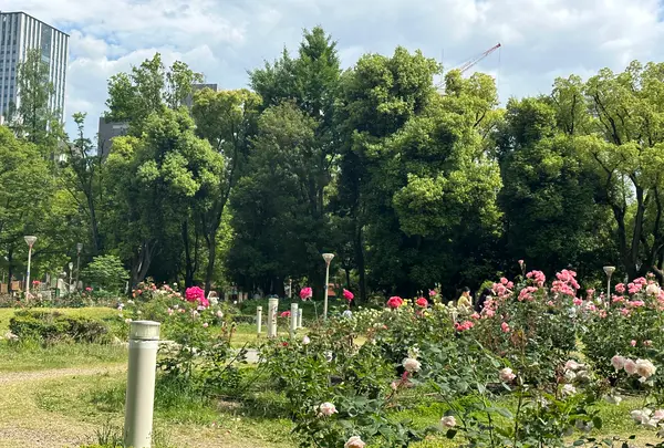 靱公園の写真・動画_image_1367070