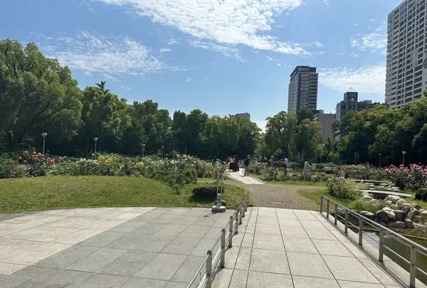 靱公園の写真・動画_image_1367072