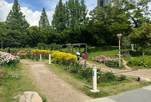 靱公園の写真・動画_image_1367073