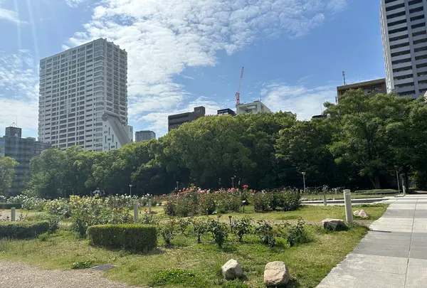 靱公園の写真・動画_image_1367074