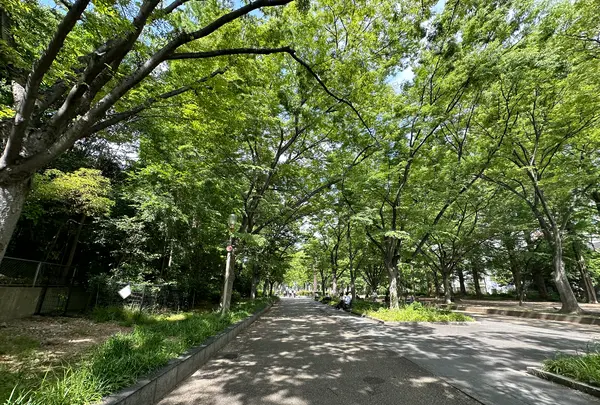 靱公園の写真・動画_image_1367077