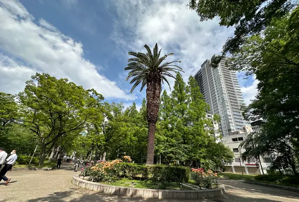 靱公園の写真・動画_image_1367079