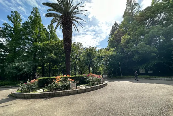 靱公園の写真・動画_image_1367080