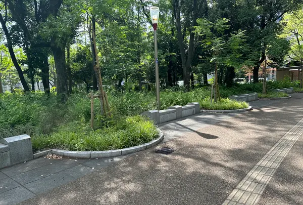 靱公園の写真・動画_image_1367087