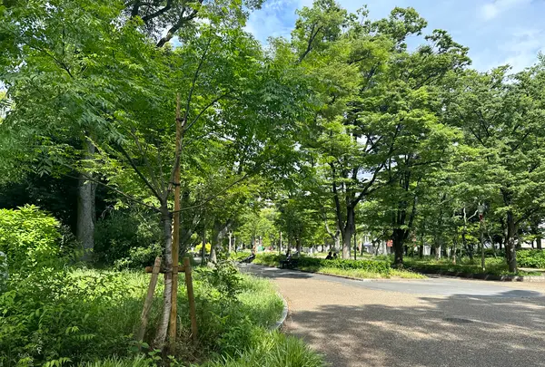 靱公園の写真・動画_image_1367089
