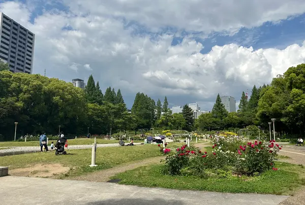 靱公園の写真・動画_image_1367090