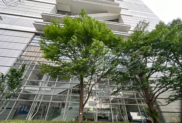 大阪府立国際会議場（グランキューブ大阪）の写真・動画_image_1367372