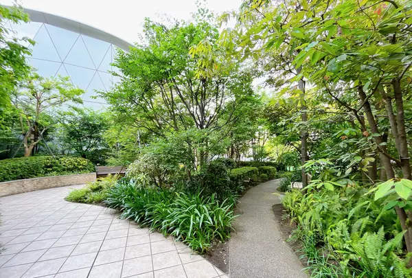 屋上広場（阪急うめだ本店）の写真・動画_image_1367994