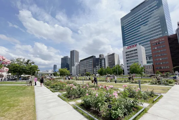 中之島公園の写真・動画_image_1368974