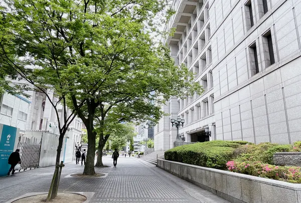 大阪市役所（ 大阪市役所本庁舎）の写真・動画_image_1369084