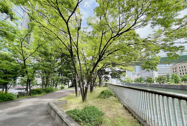 中之島緑道の写真・動画_image_1369279
