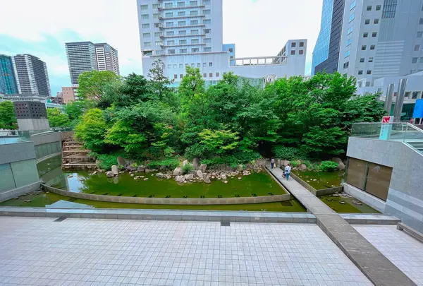 中自然の森の写真・動画_image_1369309