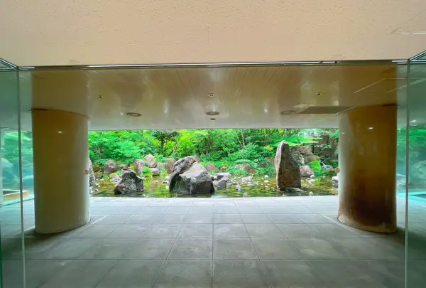 中自然の森の写真・動画_image_1369310