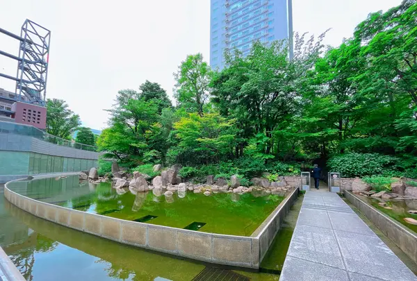 中自然の森の写真・動画_image_1369311