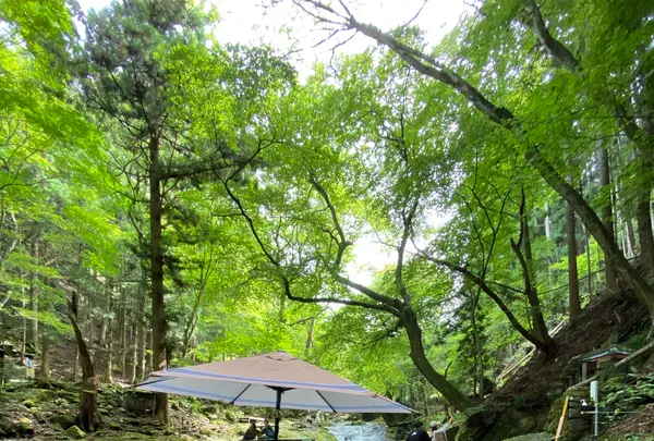 小太郎茶屋の写真・動画_image_1369348