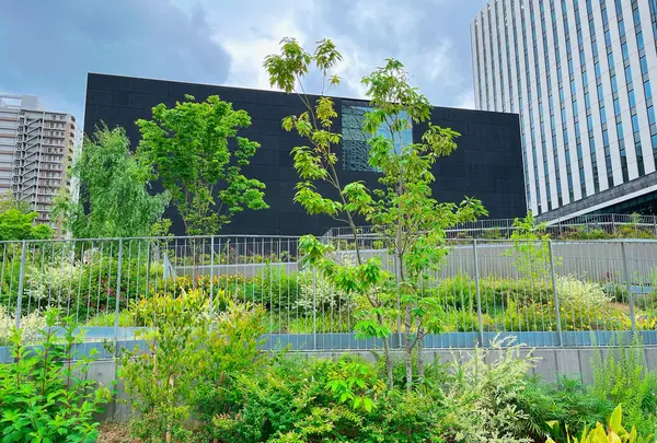 大阪中之島美術館の写真・動画_image_1369734