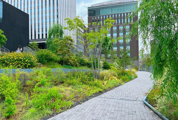 大阪中之島美術館の写真・動画_image_1369738