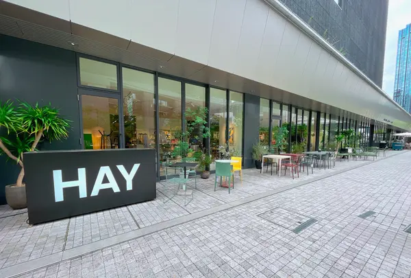 HAY OSAKAの写真・動画_image_1369759