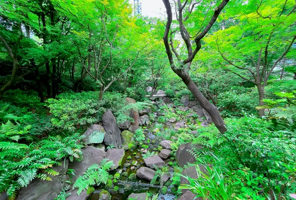 梅田スカイビルの写真・動画_image_1369887