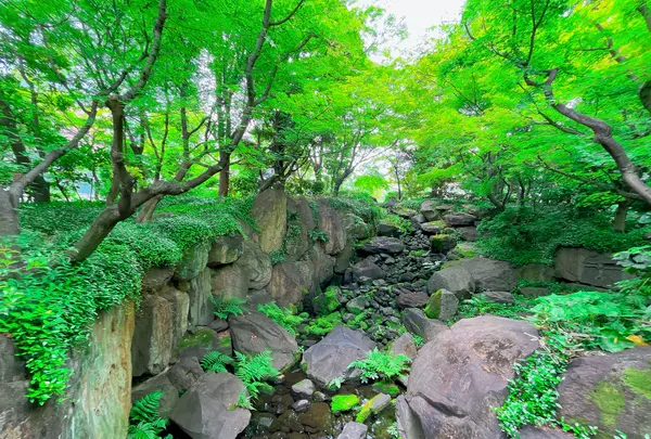 新梅田シティの写真・動画_image_1369933