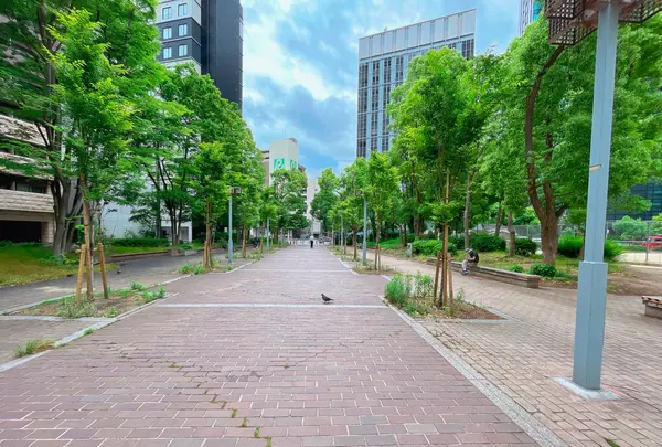 ザ・シンフォニーホールの写真・動画_image_1369953