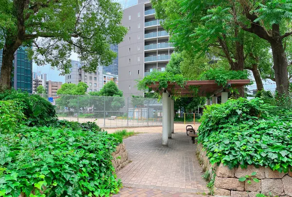上福島北公園の写真・動画_image_1369961