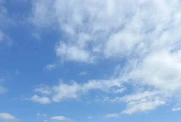 那須フラワーワールドの写真・動画_image_1370305