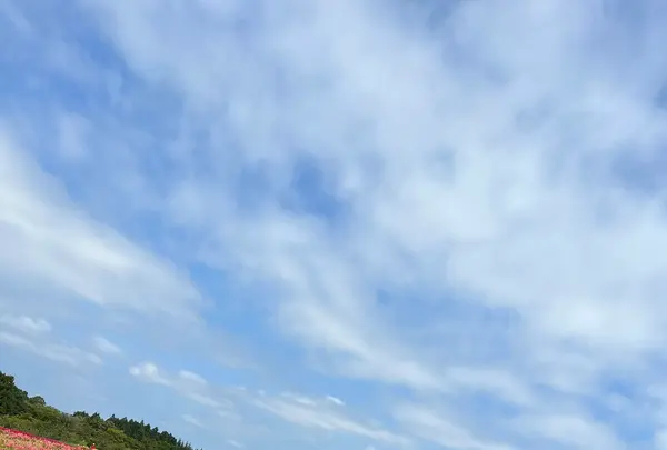 那須フラワーワールドの写真・動画_image_1370306